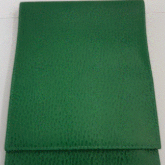 Lederhülle hochformat grün