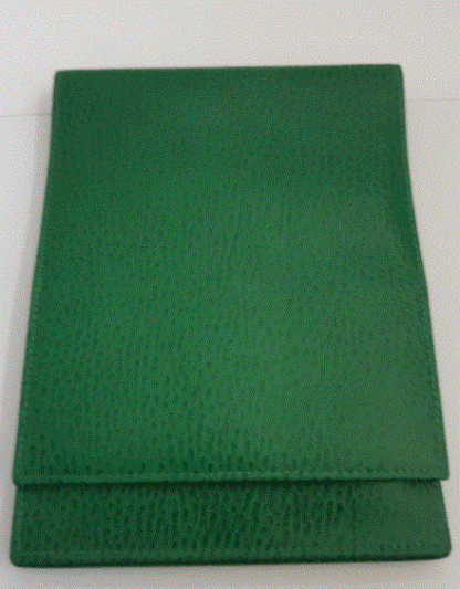 Lederhülle hochformat grün